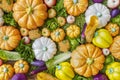 Assortment of colorful dummy fresh fruit and vegetable Royalty Free Stock Photo