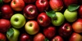 Assortment of crimson and emerald apples on a backdrop of