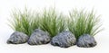 An assortment of 3D render illustrations displaying a green grass border. A cartoon representation of long tufts of Royalty Free Stock Photo
