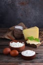 Assortment dairy products