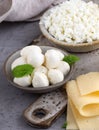 assortment dairy products cheese, milk