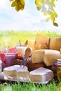 Assortment of dairy products on grass in the meadow vertical