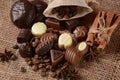 Assortment of dark, white and milk chocolate sweets, zefir zephyr.