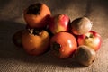 Assortment of different autumn fruit like apples and diospyros kaki Royalty Free Stock Photo