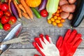 Assortment different fresh organic vegetables and gardening tools on country style wooden background. Local garden produce clean Royalty Free Stock Photo