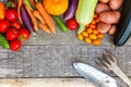 Assortment different fresh organic vegetables and gardening tools on country style wooden background. Local garden produce clean Royalty Free Stock Photo