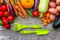 Assortment different fresh organic vegetables and gardening tools on country style wooden background. Local garden produce clean Royalty Free Stock Photo