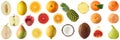 Assortment of different fruits apple, orange, lemon, pear, melon, pineapple, coconut, fig  isolated on white background Royalty Free Stock Photo