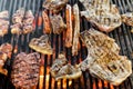 Assortment of different meat grilling on a fire Royalty Free Stock Photo