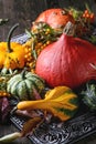 Assortment of different pumpkins and berries Royalty Free Stock Photo