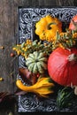 Assortment of different pumpkins and berries Royalty Free Stock Photo