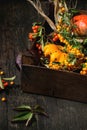 Assortment of different pumpkins and berries Royalty Free Stock Photo