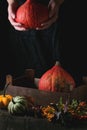 Assortment of different pumpkins and berries Royalty Free Stock Photo