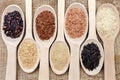Assortment of different rice in wooden spoons: white rice red rice black rice a mixture of wild and brown rice. The whole grain of Royalty Free Stock Photo