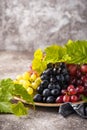 Assortment of different sort of grapes