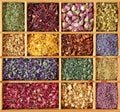 Assortment of dried tea Royalty Free Stock Photo