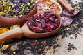 Assortment of dry tea. different varieties of tea on a wooden table. blended tea with flower petals, hibiscus in a wooden spoon an Royalty Free Stock Photo