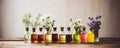 An assortment of essential oil bottles with fresh plants from which they're derived