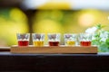 Assortment of five strong alcoholic drinks and spirits in small glasses. Different Lithuanian alcoholic beverages on a bar counter Royalty Free Stock Photo