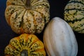 An assortment of four miniature autumnal squash and pumpkins Royalty Free Stock Photo