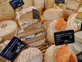 Assortment of French cheese at local farmers market in Aix-en-Provence, Provence, France.