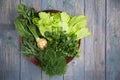 Assortment of fresh aromatic herbs on a wooden plate