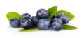 Assortment of fresh blueberries leaves isolated white