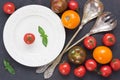 Assortment fresh colorful tomato for salad