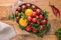 Assortment of fresh colorful tomatoes in oval bowl Royalty Free Stock Photo
