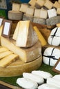 Assortment of fresh different cheese Royalty Free Stock Photo