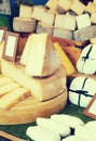 Assortment of fresh different cheese Royalty Free Stock Photo