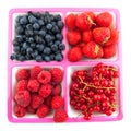 Assortment fresh fruit Royalty Free Stock Photo