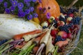 Assortment of fresh fruit and vegetables