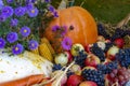 Assortment of fresh fruit and vegetables