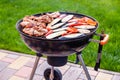 Assortment of fresh healthy colored vegetables, chicken meat grilled on BBQ grilling over a hot fire coals against green grass on Royalty Free Stock Photo