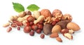 Assortment of fresh nuts