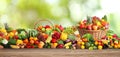 Assortment of fresh organic vegetables and fruits on wooden table against blurred green background. Banner design Royalty Free Stock Photo