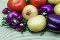 Assortment of fresh raw vegetables on a napkin. Selection includes potato, tomato, green onion, pepper, garlic and dill Royalty Free Stock Photo