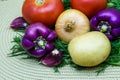 Assortment of fresh raw vegetables on a napkin. Selection includes potato, tomato, green onion, pepper, garlic and dill Royalty Free Stock Photo