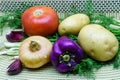 Assortment of fresh raw vegetables on a napkin. Selection includes potato, tomato, green onion, pepper, garlic and dill Royalty Free Stock Photo
