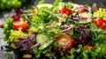 Assortment of Fresh Salads with Vibrant and Healthy Ingredients Royalty Free Stock Photo
