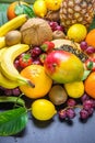 Assortment of Fresh Tropical and Summer Seasonal Fruits Pineapple Papaya Mango Coconut Oranges Kiwi Bananas Lemons Grapefruit Palm Royalty Free Stock Photo