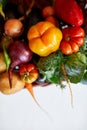 Assortment of fresh vegetables in a basket, bio healthy, organic food on white background Royalty Free Stock Photo