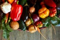 Assortment of fresh vegetables in a basket, bio healthy, organic food Royalty Free Stock Photo