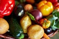 Assortment of fresh vegetables in a basket, bio healthy, organic food Royalty Free Stock Photo