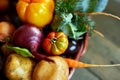 Assortment of fresh vegetables in a basket, bio healthy, organic food Royalty Free Stock Photo