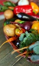 Assortment of fresh vegetables in a basket, bio healthy, organic food Royalty Free Stock Photo