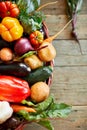 Assortment of fresh vegetables in a basket, bio healthy, organic food Royalty Free Stock Photo