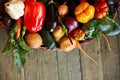 Assortment of fresh vegetables in a basket, bio healthy, organic food Royalty Free Stock Photo