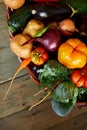 Assortment of fresh vegetables in a basket, bio healthy, organic food Royalty Free Stock Photo